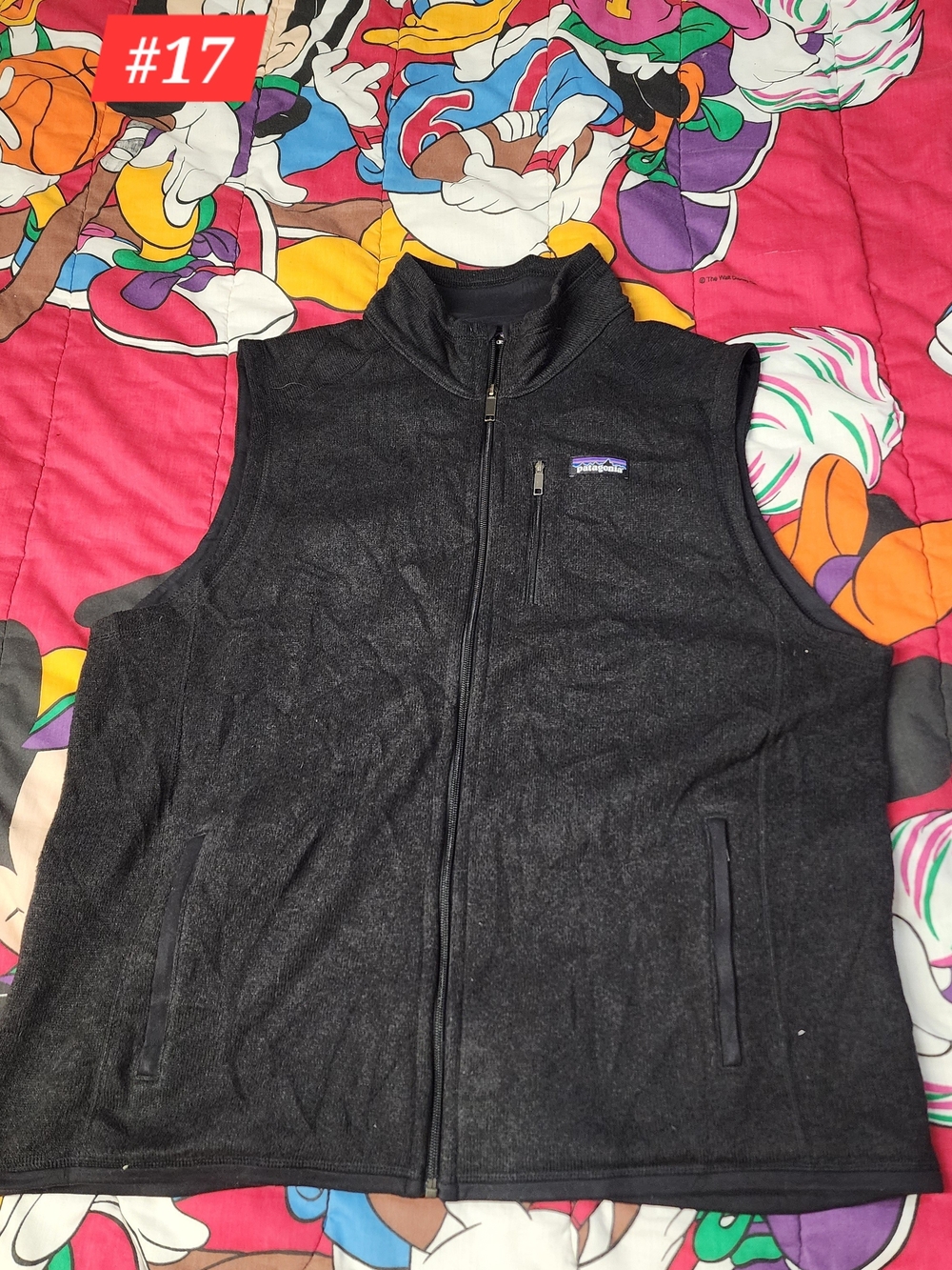 Patagonia Black Men’s Full-Zip Fleece Vest